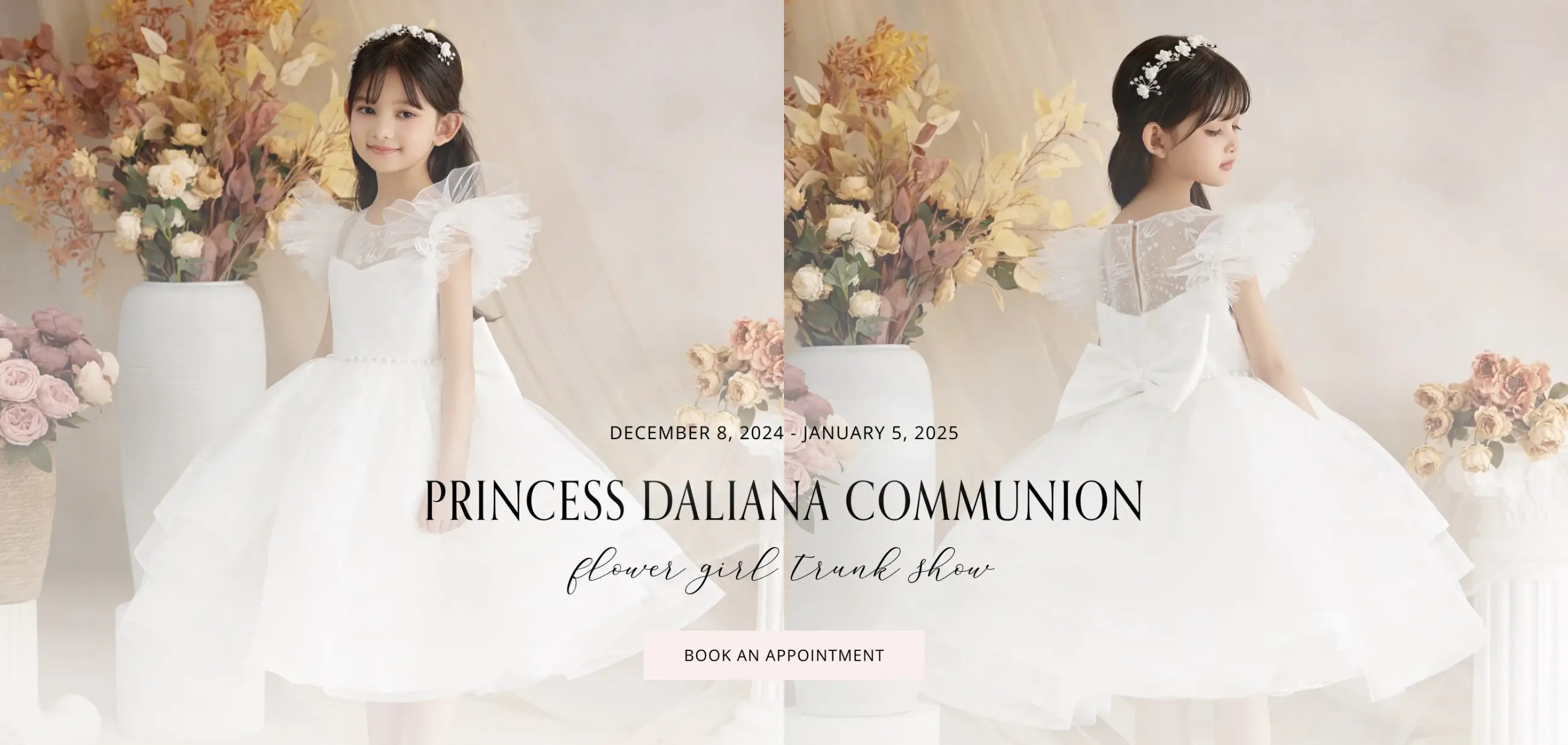 Princess Daliana Trunk Show Desktop Banner